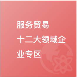 服務(wù)貿(mào)易十二大領(lǐng)域企業(yè)專區(qū)